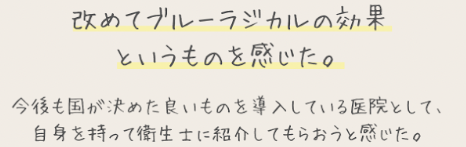 参加者の声