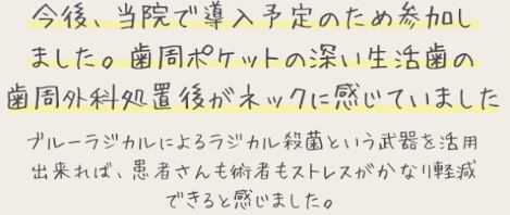 参加者の声